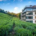 항저우 / 항주 호텔 추천 대표 이미지